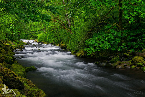 Tanner Creek