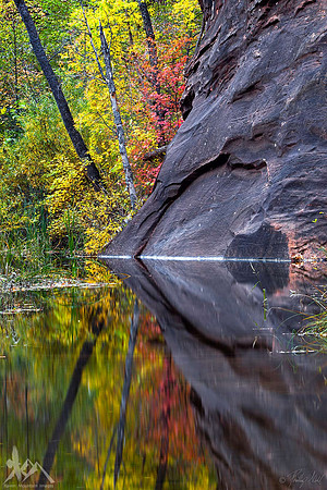 Autumn Reflections