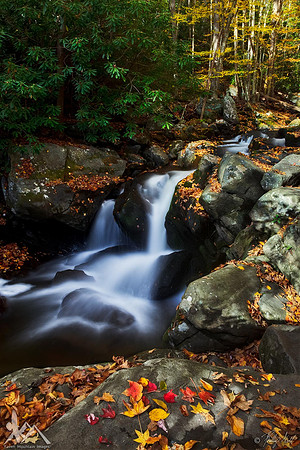 Intimate Cascade