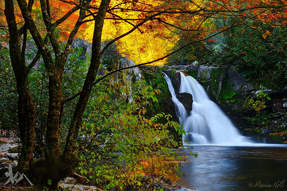 Abrams Falls