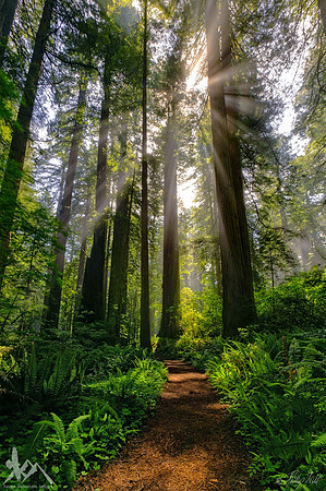 A Spiritual Path