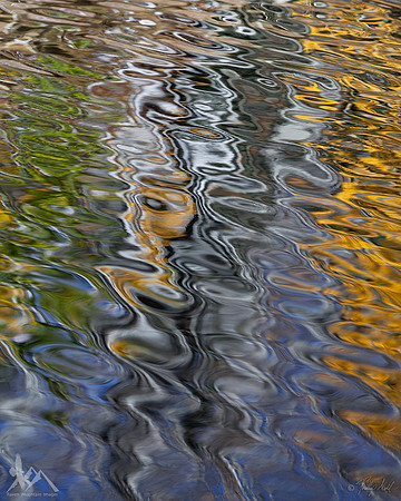 Rowdy Reflections