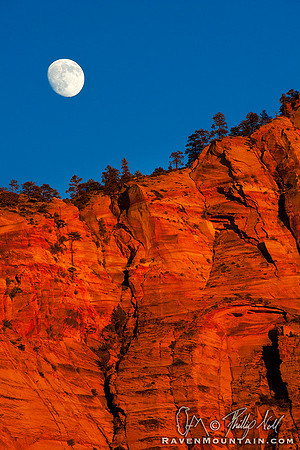 Sunset Moonrise