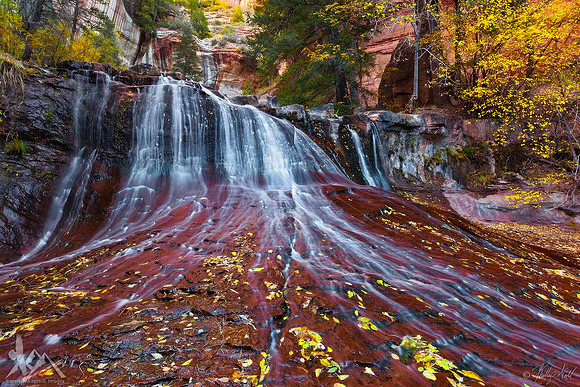 Zion's Veil