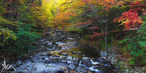 Autumn at Laurel Creek