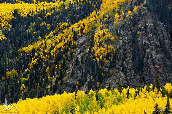 Toltec Aspen