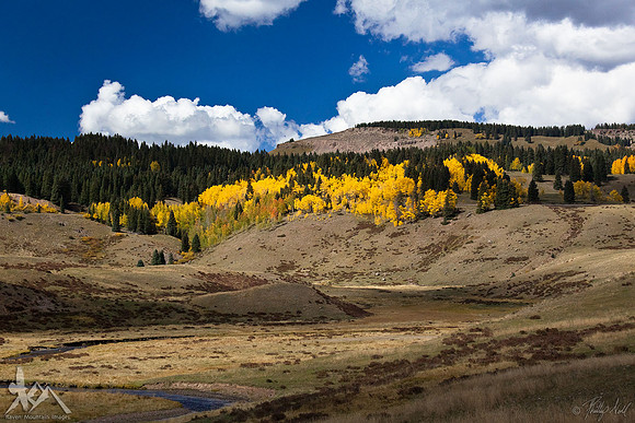 Autumn In The High Country