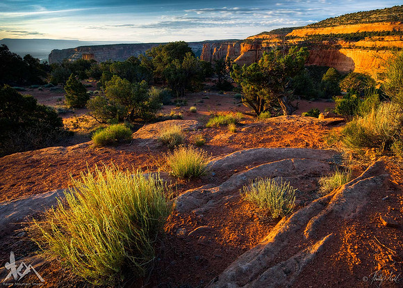 Sunrise Along Otto's Trail