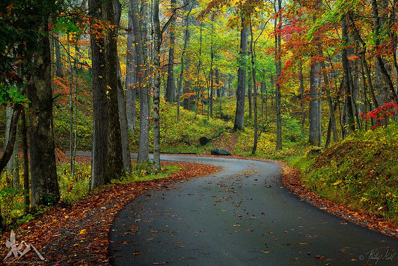 Autumn in the Cove