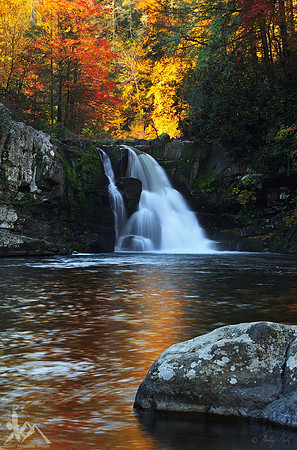 Autumn at Abrams
