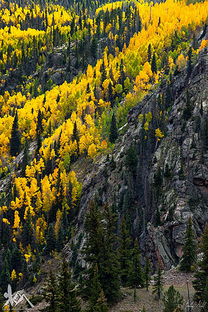 Aspen Cascade