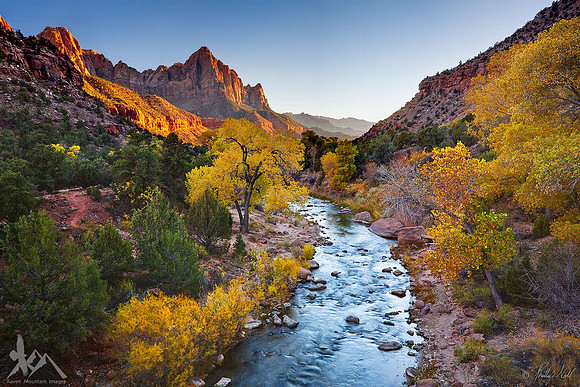 The Watchman