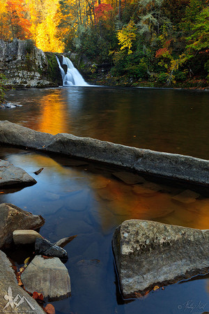 The Fall