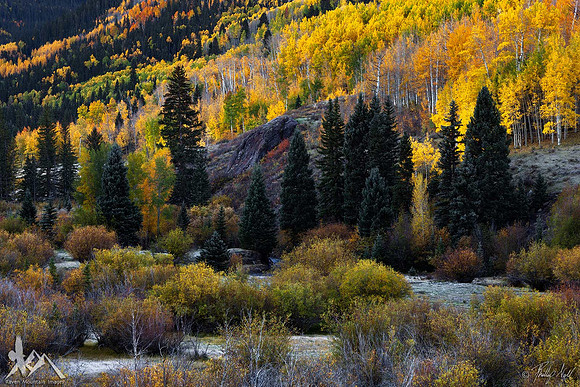 Morning Frost On The Valley Floor