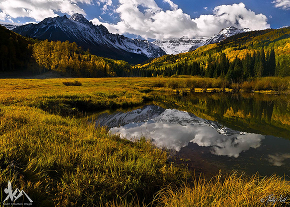 Beaver Pond