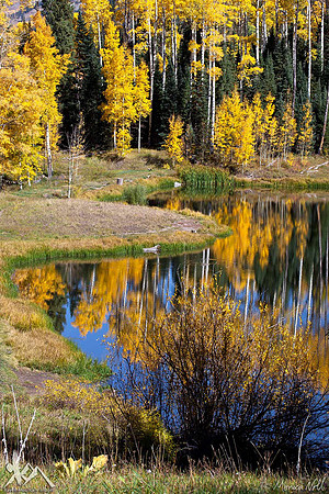 Rowdy Lake