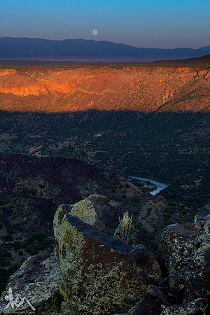 Last Light in the Canyon