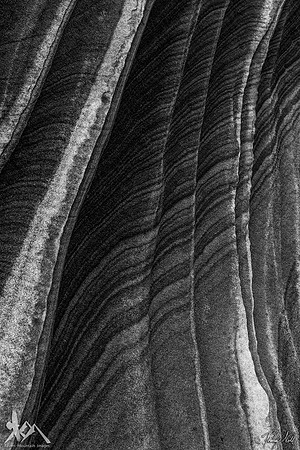 Rock Bands