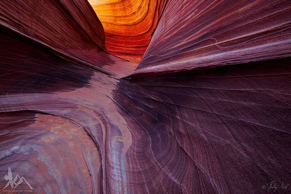 Vortex