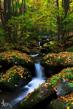 Roaring Fork