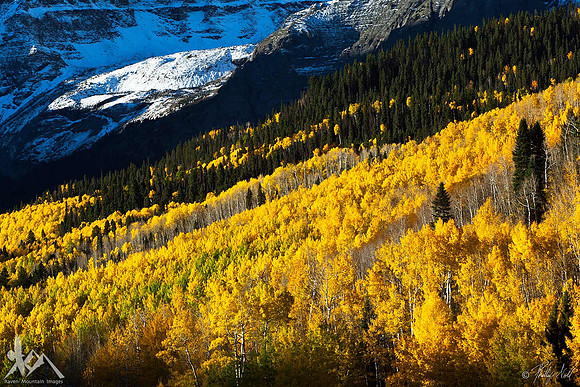 Silver, Blue, & Gold