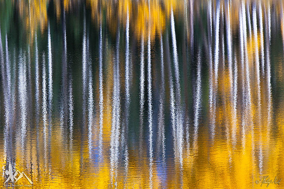 Natural Abstract