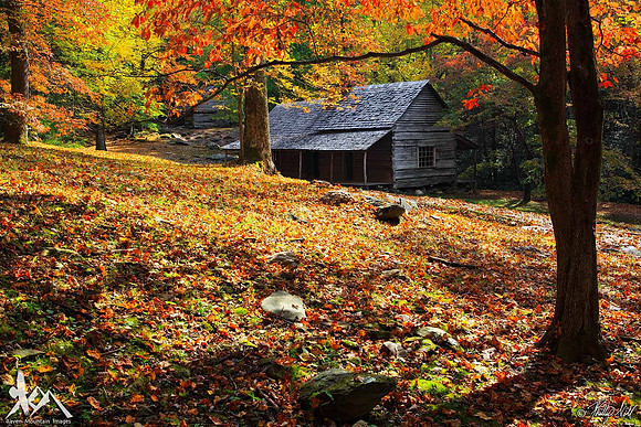 The Ogle Place