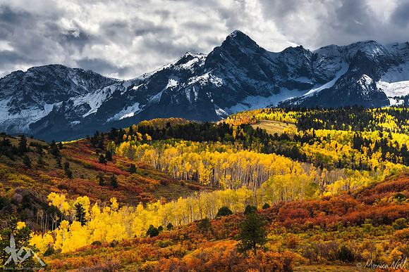 Gold Rush
