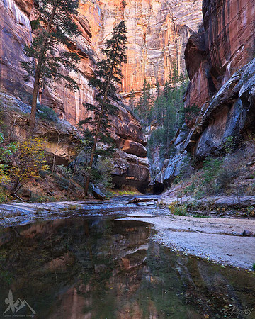 Left Fork North Creek