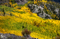 Cumbres & Toltec Scenic Railroad